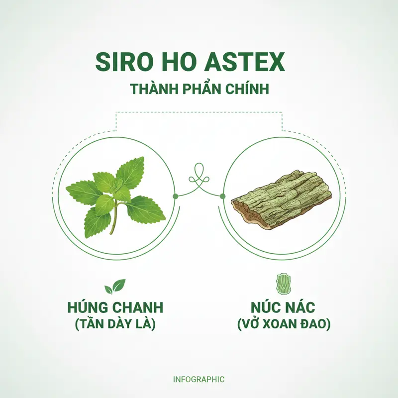 Thành phần thảo dược chính trong Siro Ho Astex như húng chanh, núc nác